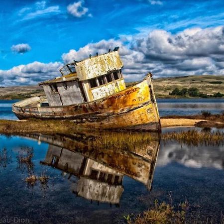 Вилла The Quail'S Nest Retreat Пойнт-Рейес-Стейшен Экстерьер фото